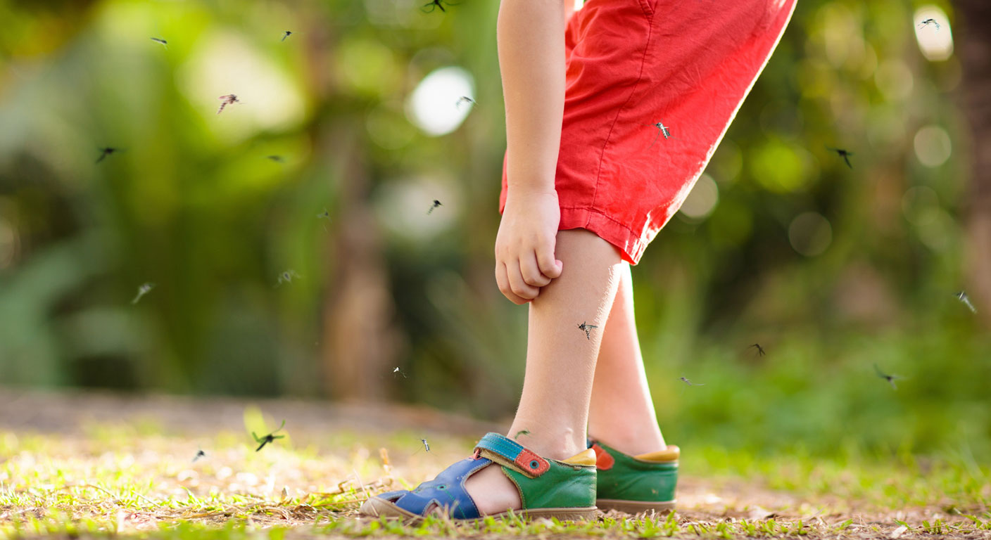 The-Heat-Has-Arrived-And-So-Have-the-Mosquitoes